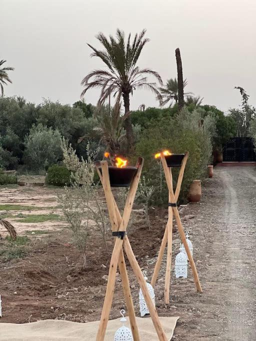 מרקש Villa Oasis De La Palmeraie מראה חיצוני תמונה